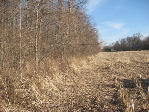 Property photo 17 - 44 Acres Offered in 3 Tracts